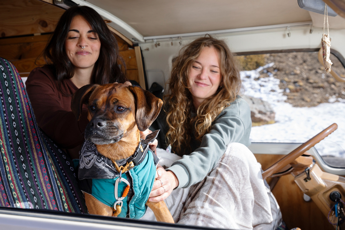 Tips for Traveling with Your Pet in an RV